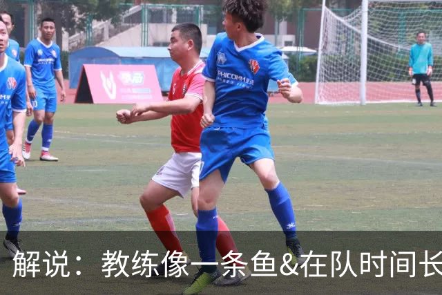 解说：教练像一条鱼&在队时间长了就会发臭 杜锋话语出现效应递减